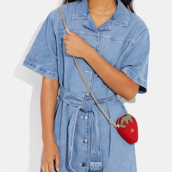 ❤️❤️❤️NeW coach strawberry coin case on a chain/Crossbody bag/wallet ❤️❤️❤️ - Picture 2 of 11